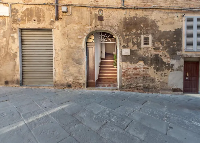 Apartament Ninfea Dream *